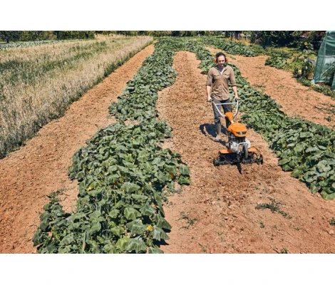 STIHL Motoazada MH 600.1