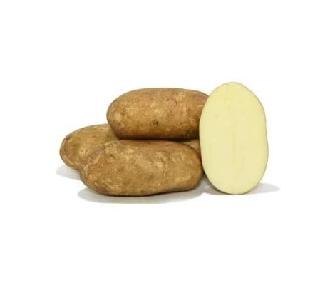 Rocalba Patata De Siembra Pregerminada Kennebec  Bandeja 100 Uds