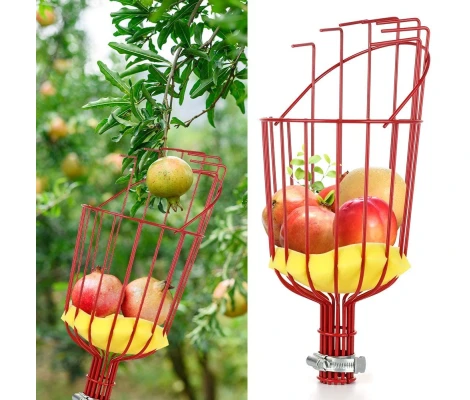 Recolector De Fruta Sin Mango