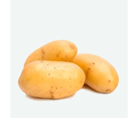 Rocalba Patata De Siembra  Spunta Bandeja 100 Uds