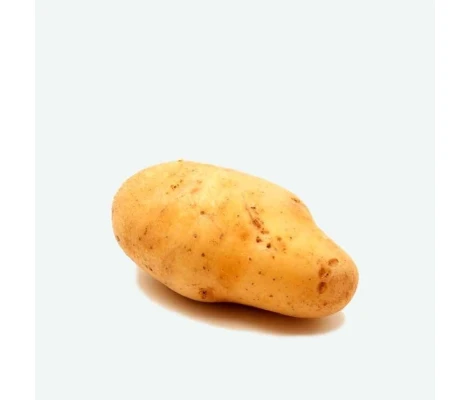 Rocalba Patata De Siembra Monalisa Bandeja 100 Uds