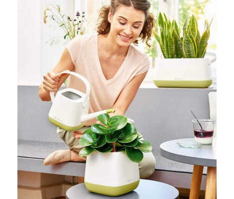 Lechuza Regadera YULA