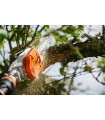 STIHL Podadora De Altura HT 135