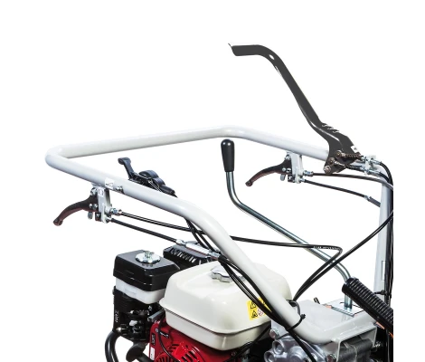 Carretilla Transportadora Bertolini BTR 450