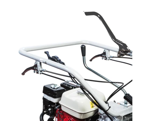 Carretilla Transportadora Bertolini BTR 550