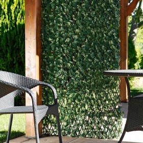 Catral Celosia Extensible Ciprés 1x1,50m