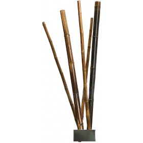 Tutores Decorativos 1,8m Catral