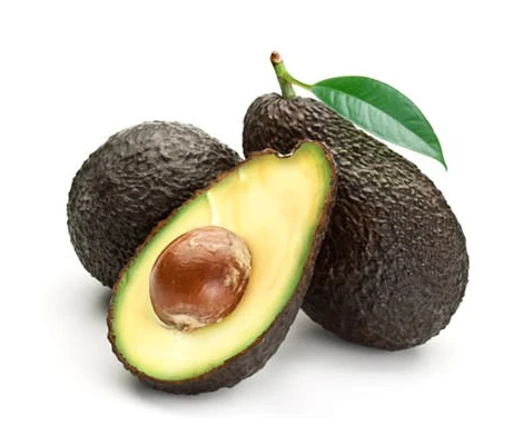 Arbol Planta Aguacate Hass