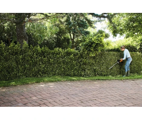 STIHL Cortasetos HSA 50 Con Batería AK 10 y Cargador AL 101