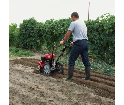 Motoazada Honda FF 300