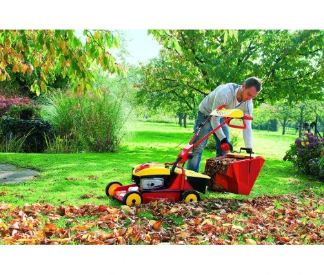 Cortacesped Gasolina Outils Wolf PBTO