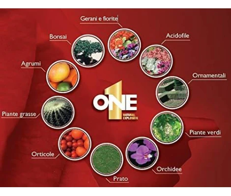 Abono Líquido Nutri One 500ml y 1Litro