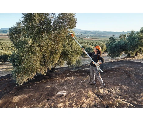 Vareador STIHL SPA 140 Extensible A Batería Con Smart Connector 2 A