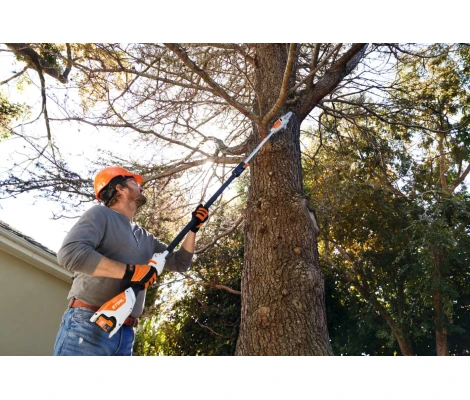STIHL Podadora HTA 50.0 Con AK 20 + AL 101