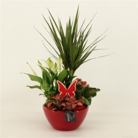Decoración Plantas De Interior Ø18 cm H45 cm