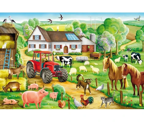 Schmidt Spiele Granja Alegre