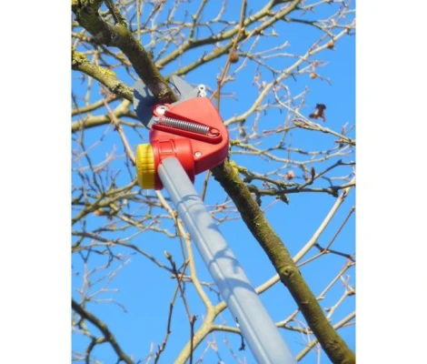 Outils Wolf Pértiga Podadera Telescópica - OS4000