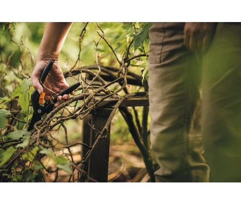 Fiskars Tijera De Podar SingleStep P26 - 1000567