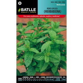 Batlle Semillas De Hierbabuena (Menta Spicata)