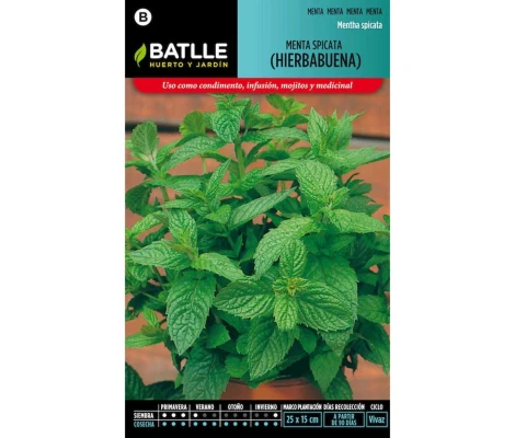Batlle Semillas De Hierbabuena (Menta Spicata)