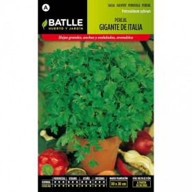 Batlle Semillas De Perejil Gigante De Italia