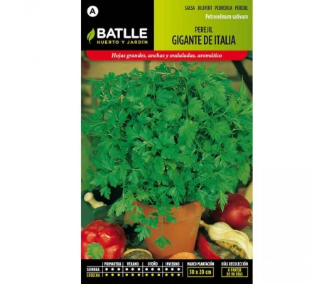 Batlle Semillas De Perejil Gigante De Italia