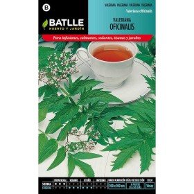 Batlle Semillas De Valeriana Officinalis