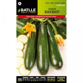 Batlle Semillas De Calabacín Black Beauty