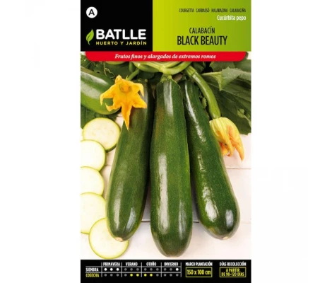 Batlle Semillas De Calabacín Black Beauty