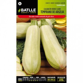 Batlle Semillas De Calabacín Temprano De Argelia