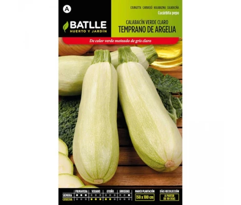 Batlle Semillas De Calabacín Temprano De Argelia