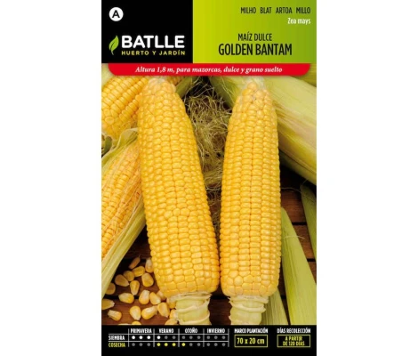Batlle Semillas De Maíz Dulce Golden Bantam