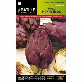 Batlle Semillas De Alcachofa Purple Romagna