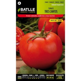 Batlle Semillas De Tomate Tres Cantos