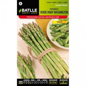 Batlle Semillas De Espárrago Verde Mary Washington
