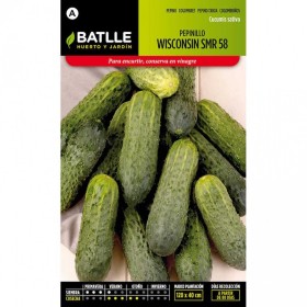Batlle Semillas De Pepinillo Wisconsin SMR 18