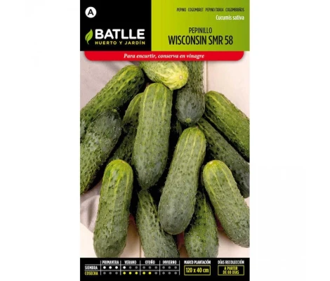 Batlle Semillas De Pepinillo Wisconsin SMR 18