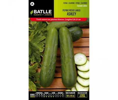 Batlle Semillas De Pepino Ashley Medio Largo