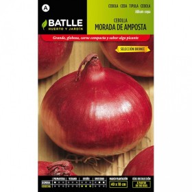 Batlle Semillas De Cebolla Morada De Amposta Sel. Bronce