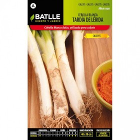 Batlle Semillas De Calçots - Cebolla Blanca Tardía De Lérida