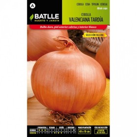 Batlle Semillas De Cebolla Valenciana Tardía Sel. Fallera