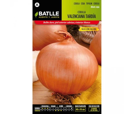 Batlle Semillas De Cebolla Valenciana Tardía Sel. Fallera