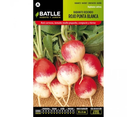 Batlle Semillas De Rabanito Redondo Rojo Punta Blanca