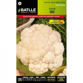 Batlle Semillas De Coliflor Brio Selección Urgelba