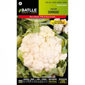 Batlle Semillas De Coliflor Dominant Blanquita