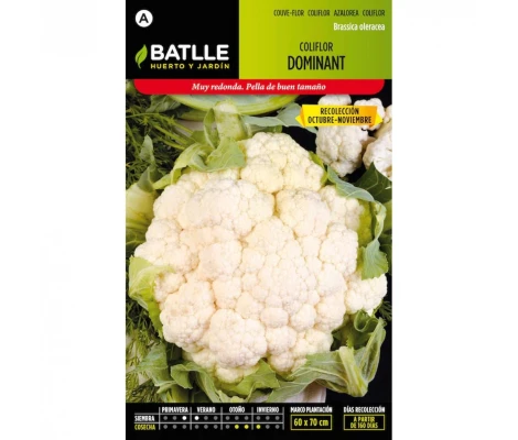 Batlle Semillas De Coliflor Dominant Blanquita