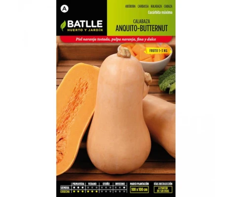 Batlle Semillas De Calabaza Anquito-Butternut