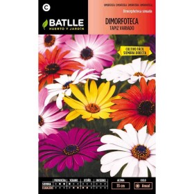 Batlle Semillas De Dimorfoteca Tapiz Variado