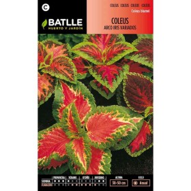 Batlle Semillas De Coleus Arco Iris Variado