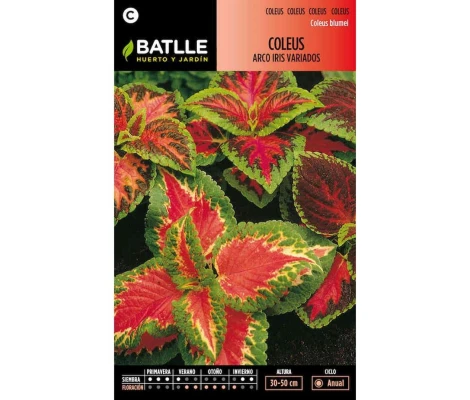 Batlle Semillas De Coleus Arco Iris Variado